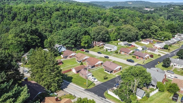 2605 Marion St, Aliquippa, PA 15001 - photo 5