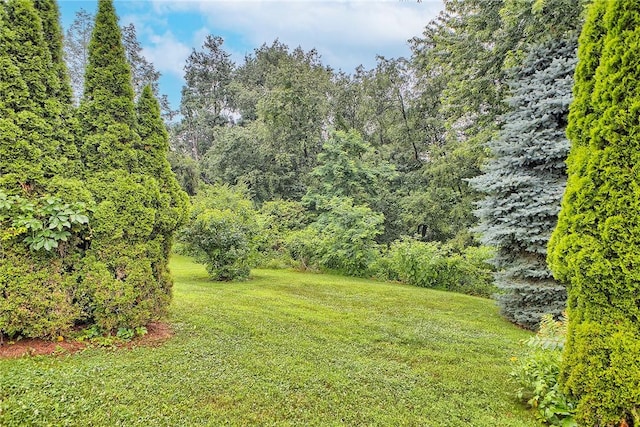 2117 Ridge Rd, Salem Twp, PA 15601 - photo 37