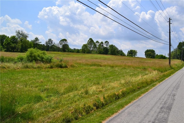 274 Gressly, Ruffs Dale, PA 15679 - photo 47