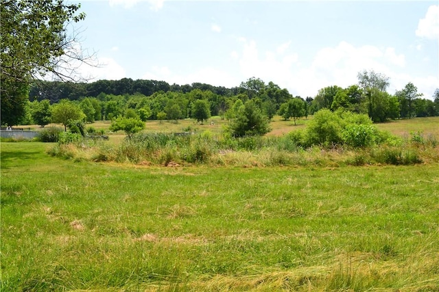 274 Gressly, Ruffs Dale, PA 15679 - photo 48