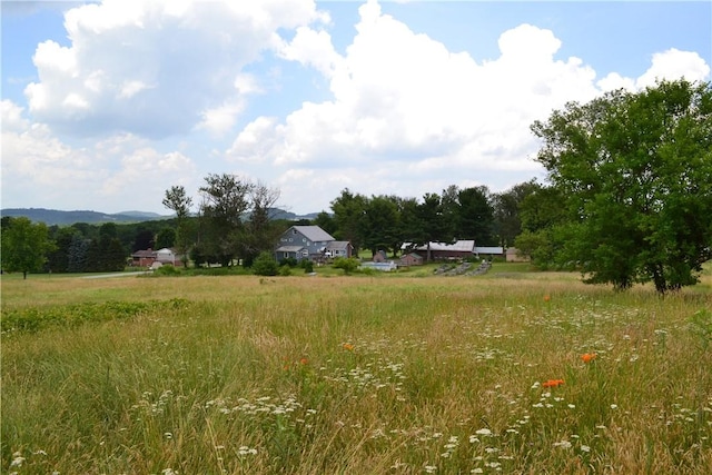 274 Gressly, Ruffs Dale, PA 15679 - photo 9