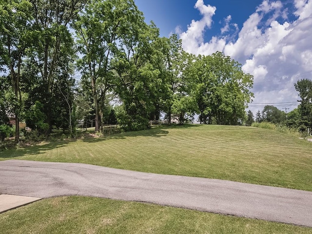 2529 Brandt School Rd, Franklin Park, PA 15090 - photo 4