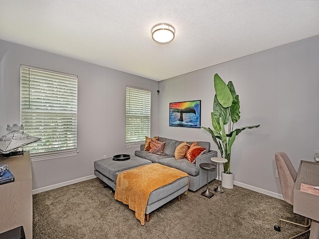 2529 Brandt School Rd, Franklin Park, PA 15090 - photo 26
