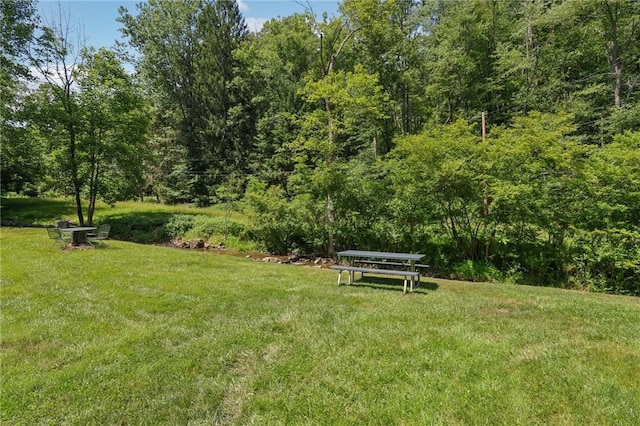 171 Fetter Ln, Ligonier Twp, PA 15658 - view of grassy yard