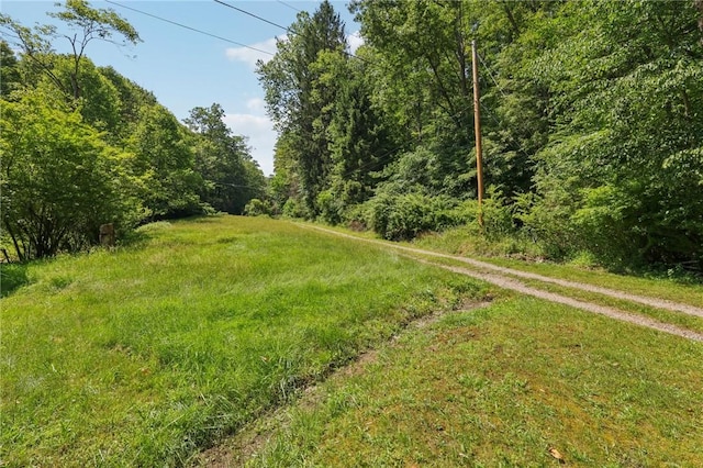 171 Fetter Ln, Ligonier Twp, PA 15658 - view of yard featuring a wooded view