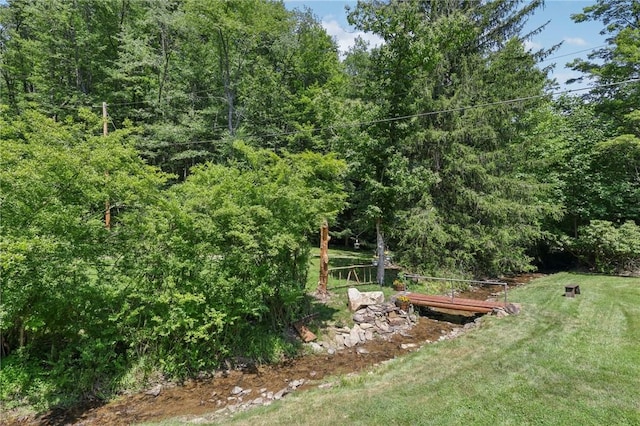 171 Fetter Ln, Ligonier Twp, PA 15658 - view of grassy yard featuring a forest view