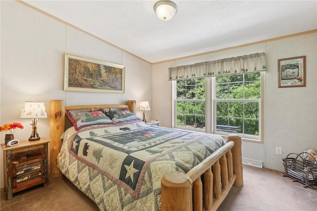 171 Fetter Ln, Ligonier Twp, PA 15658 - bedroom with carpet floors