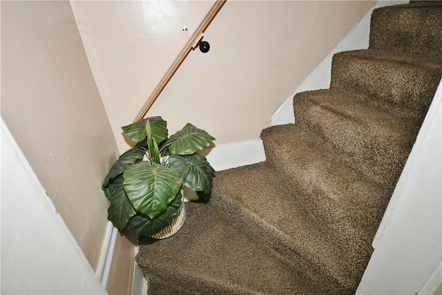 300 Sherman Ave, Dravosburg, PA 15034 - staircase with carpet and baseboards