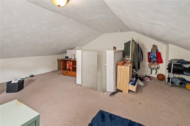 98 S 9th St, South Side, PA 15203 - bonus room with vaulted ceiling, carpet flooring, and a textured ceiling