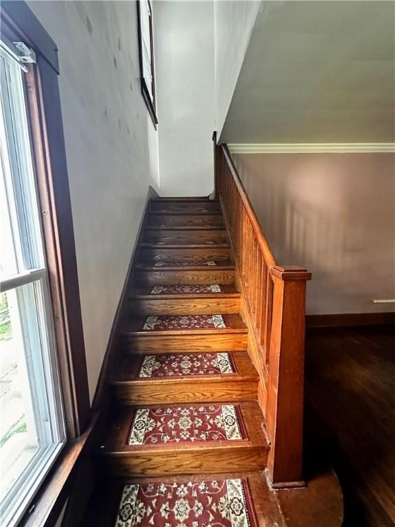 51 N Main St, Greenville Boro, PA 16125 - photo 15