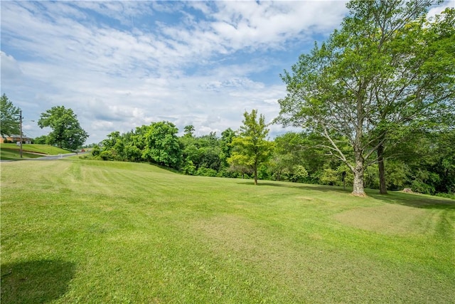 41 Highland Ave, Donegal, PA 15376 - photo 35