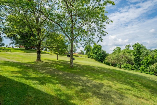 41 Highland Ave, Donegal, PA 15376 - photo 36