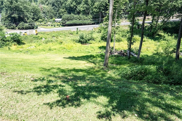 4403 W Pike Rd, Shelocta, PA 15701 - photo 6