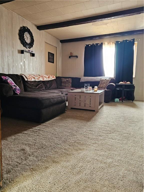 232 Birmingham Ave, Carrick, PA 15210 - photo 2