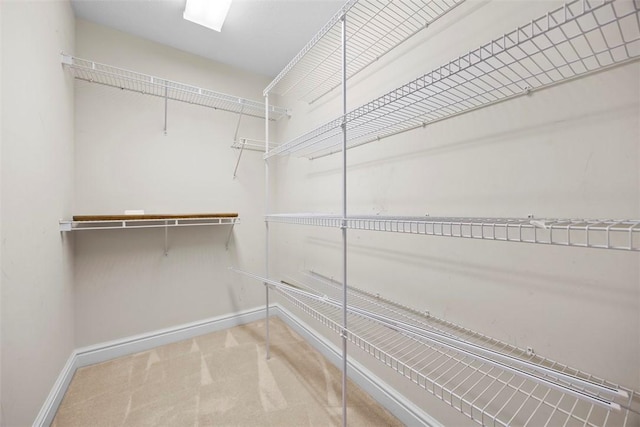402 Providence Ct, Adams Twp, PA 16059 - walk in closet featuring carpet flooring