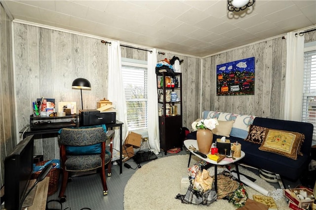 2 Mccormick Ave, Uniontown, PA 15401 - living area with plenty of natural light, carpet flooring, and wooden walls