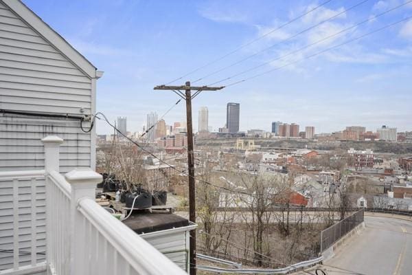 12 Brosville St, South Side, PA 15203 - photo 5