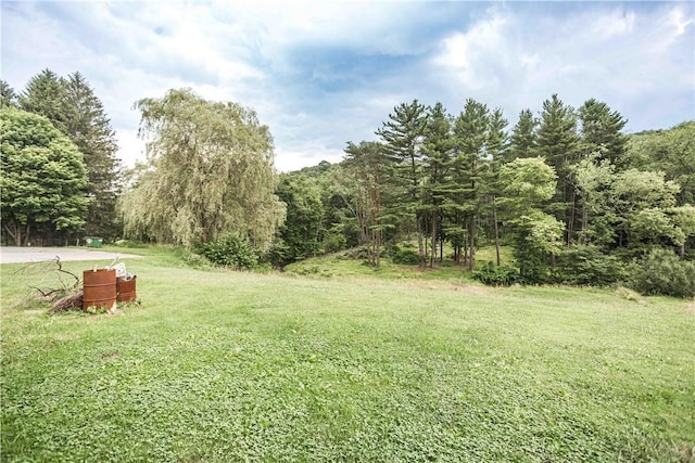 192 Main St, S Mahoning/Plumville, PA 16246 - photo 43