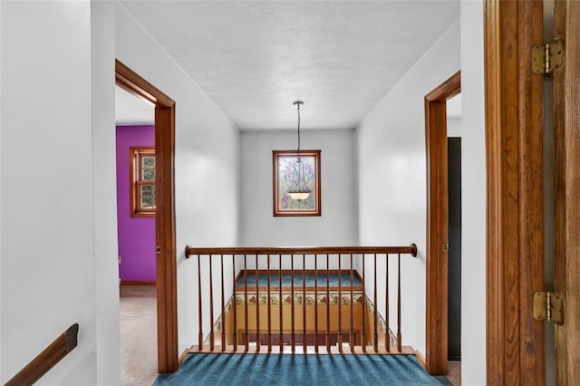 195 Fezell Rd, New Sewickley Twp, PA 15042 - photo 16