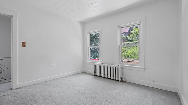 3147 Beechwood Blvd, Squirrel Hill, PA 15217 - photo 19