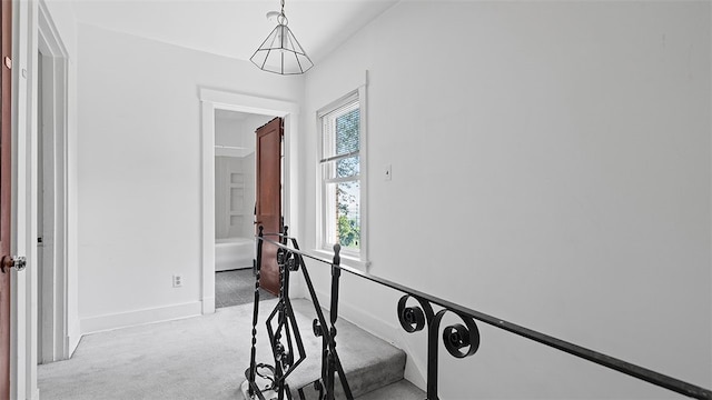 3147 Beechwood Blvd, Squirrel Hill, PA 15217 - photo 21