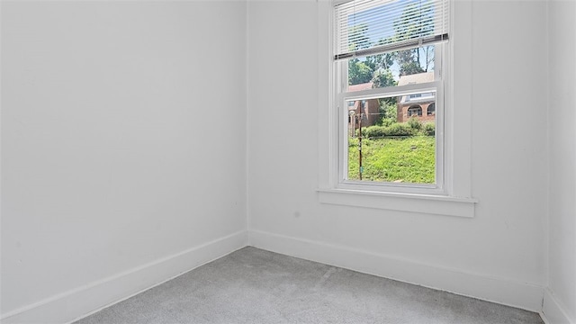 3147 Beechwood Blvd, Squirrel Hill, PA 15217 - photo 22