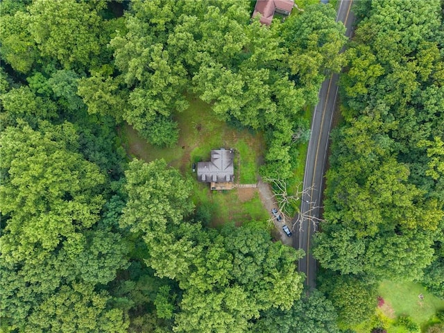 4838 Sardis Rd, Murrysville, PA 15668 - photo 4