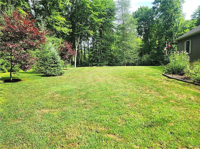 382 Hosack Rd, Pa, PA 16133 - photo 31