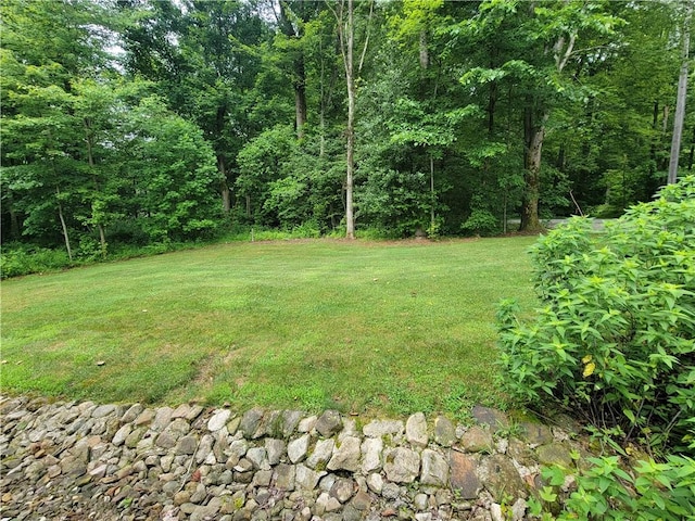 382 Hosack Rd, Pa, PA 16133 - photo 35