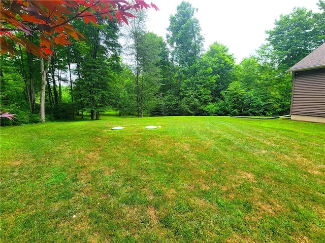 382 Hosack Rd, Pa, PA 16133 - photo 32