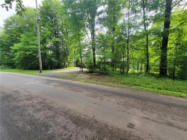 382 Hosack Rd, Pa, PA 16133 - photo 43