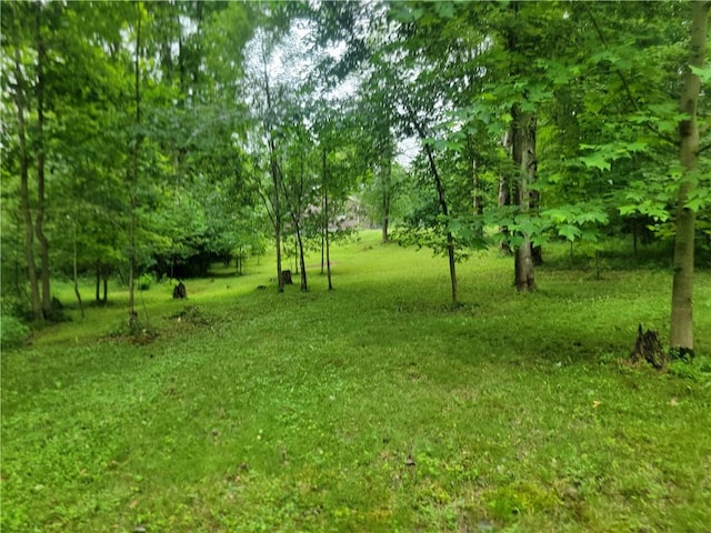 382 Hosack Rd, Pa, PA 16133 - photo 42