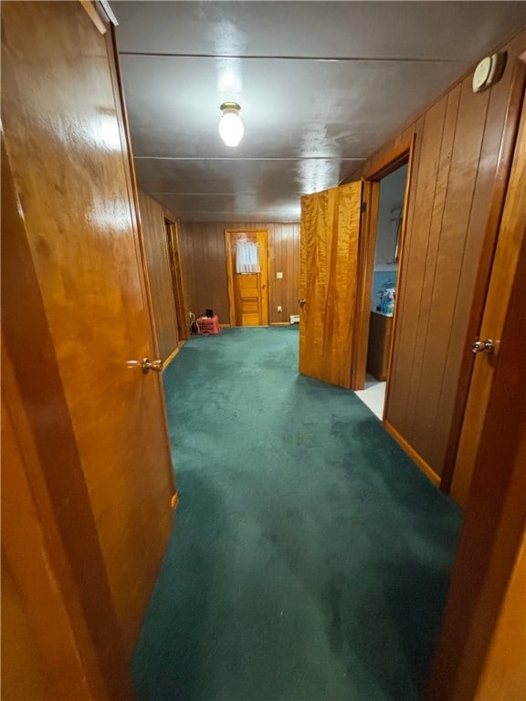 184 Chestnut St, Center Twp/Homer Cty, PA 15731 - finished basement featuring carpet and wood walls