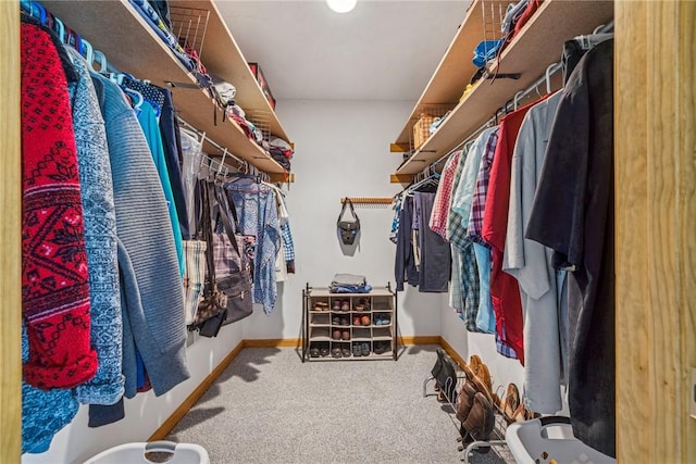 915 Jamell Dr, Unity Twp, PA 15601 - walk in closet with carpet floors