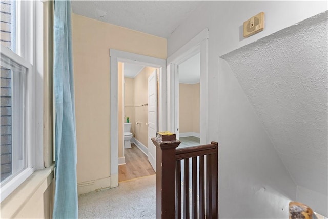 366 W 13th Ave, Homestead, PA 15120 - photo 13