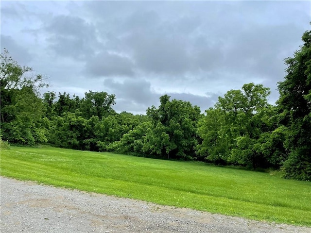 1027 Locust Ave, South Strabane, PA 15301 - view of dirt / gravel road with a forest view