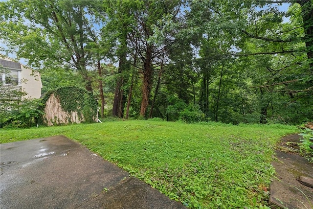 2797 Hastings Dr, Lower Burrell, PA 15068 - photo 25