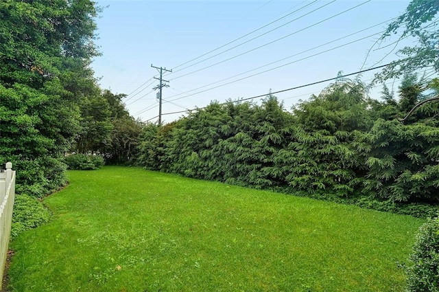 103 Allegheny Ave, Cheswick, PA 15024 - photo 28
