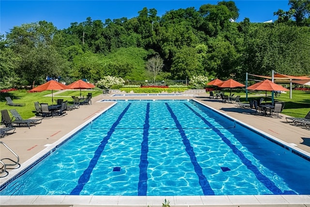 1527 Biltmore Ln, Squirrel Hill, PA 15217 - photo 19