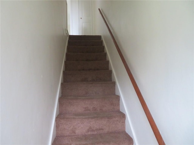 7005 Mckinley Ct, Clairton, PA 15025 - stairway featuring carpet floors