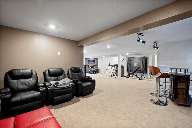 1761 Stevensan Dr, Franklin Park, PA 15143 - carpeted cinema with recessed lighting