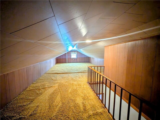 373 Pittsburgh St, Derry Twp, PA 15671 - additional living space featuring wood walls, carpet flooring, and lofted ceiling