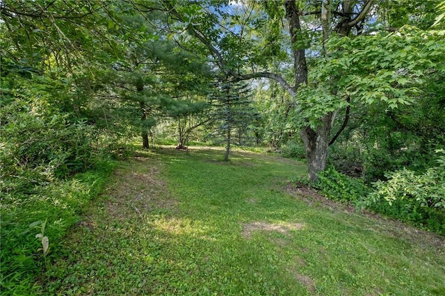 3569 Meadow Gate Dr, Murrysville, PA 15668 - photo 33