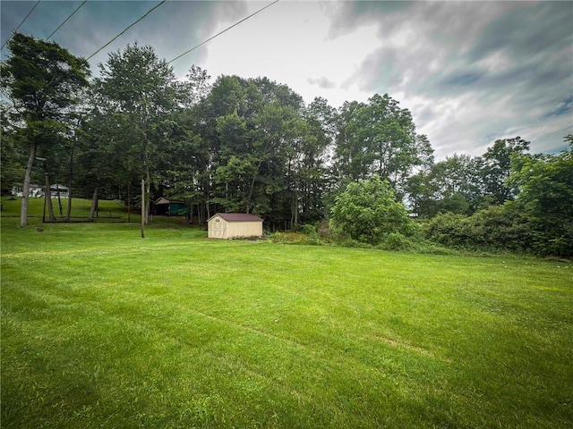 150 Peaceful Valley Rd, Washington Twp, PA 16061 - photo 35