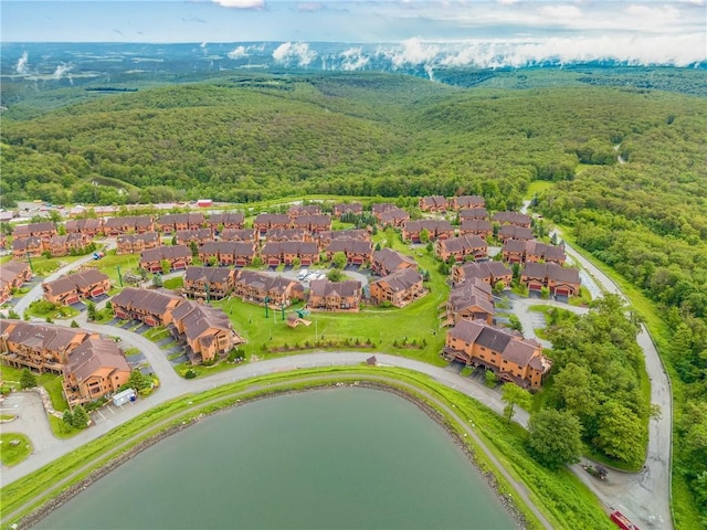 454 Southwind Cir, Seven Springs Resort, PA 15622 - photo 34