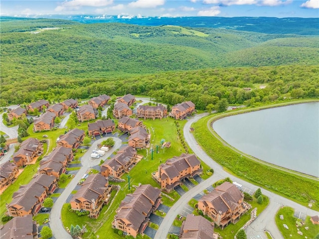 454 Southwind Cir, Seven Springs Resort, PA 15622 - photo 35