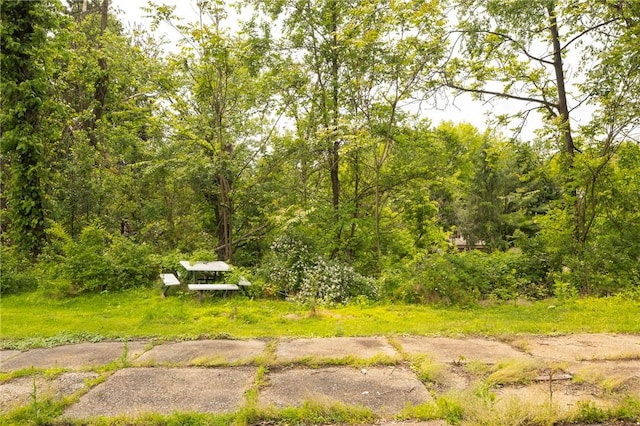 1048 Unity Center Rd, Plum Boro, PA 15239 - view of yard featuring a wooded view