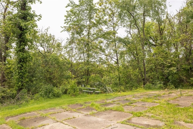 1048 Unity Center Rd, Plum Boro, PA 15239 - view of yard