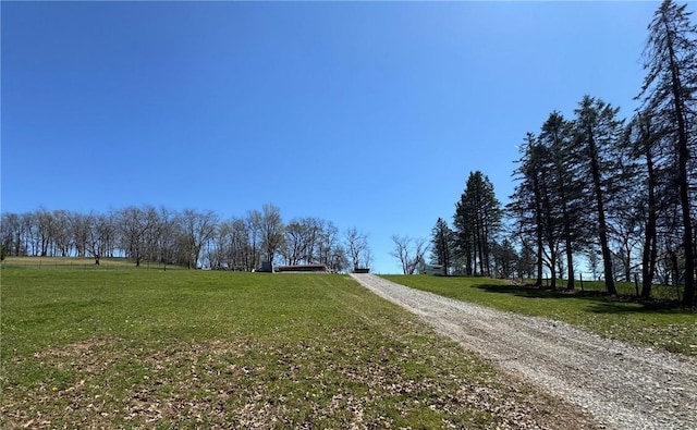 1060 Sugar Run Rd, Nottingham, PA 15367 - view of dirt / gravel driveway