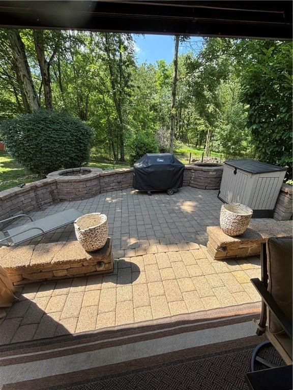 91 Celtic Ash Ct, Cranberry Twp, PA 16066 - view of patio / terrace with area for grilling and a fire pit